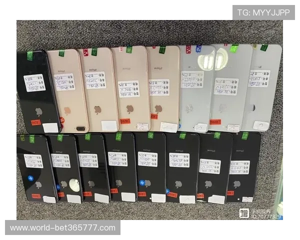 如何选择优质的inbet真人手机版平台保障您的资金安全